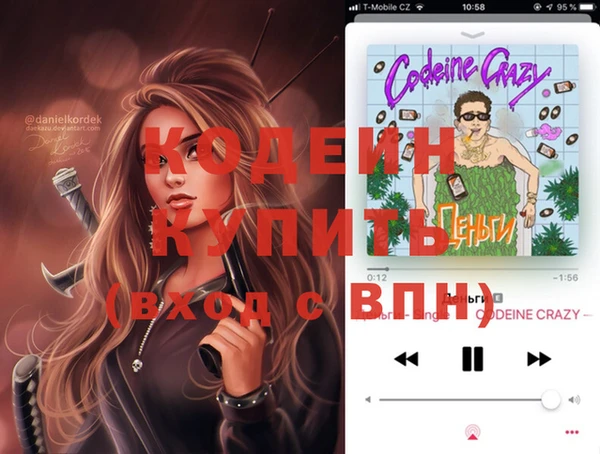 шишки Бородино