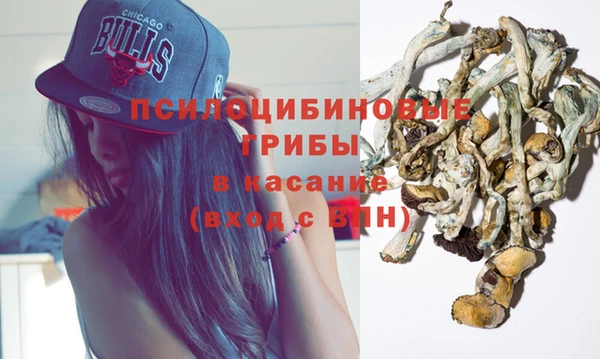 эйфоретик Алексин