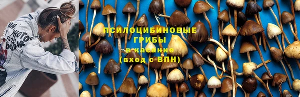 эйфоретик Алексин