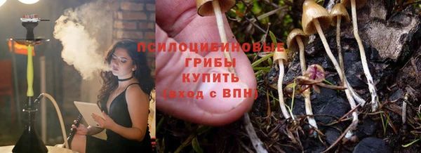 эйфоретик Алексин
