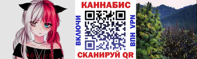 купить наркоту  Грязовец  Марихуана планчик 