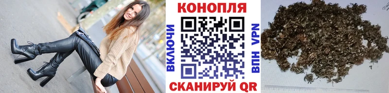 Бошки марихуана ГИДРОПОН Грязовец